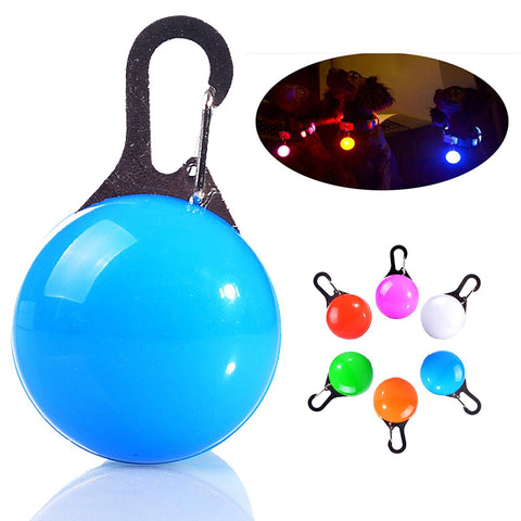 Dog LED Collar