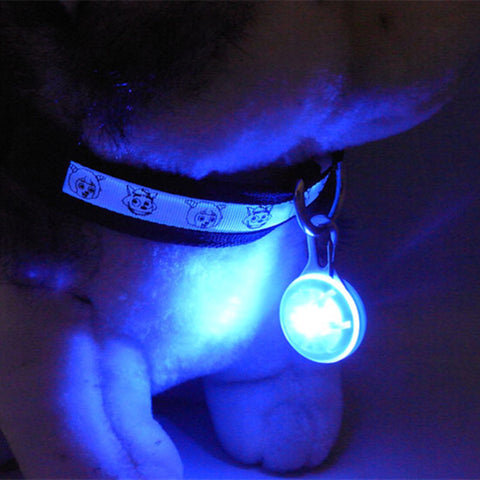 Dog LED Collar