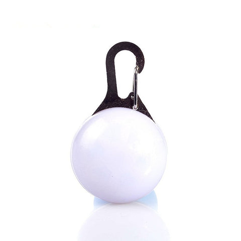 Dog LED Collar