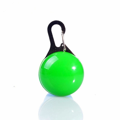 Dog LED Collar