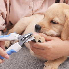 Scissors Dogs
