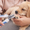 Image of Scissors Dogs